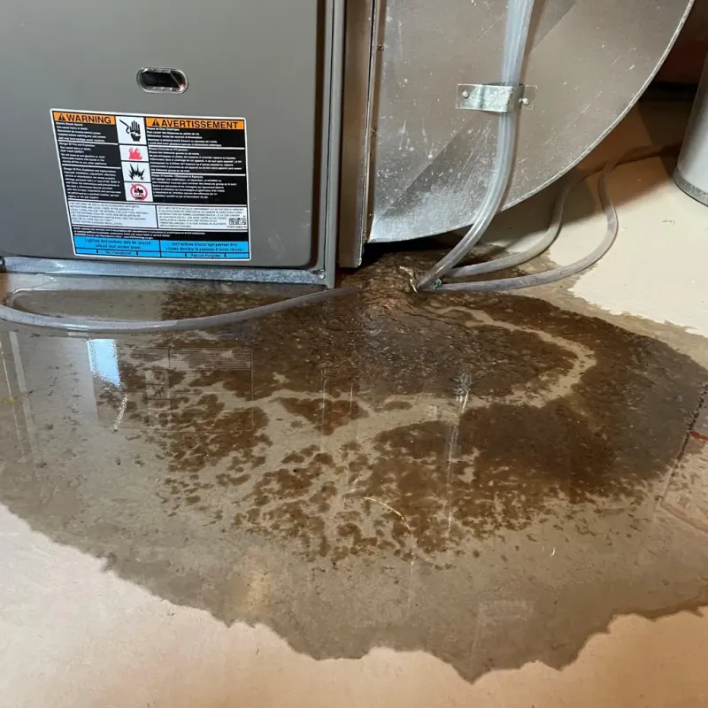 Appliance Leak Cleanup in Morgan County, CO